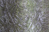 Shute End fibreglass roof work